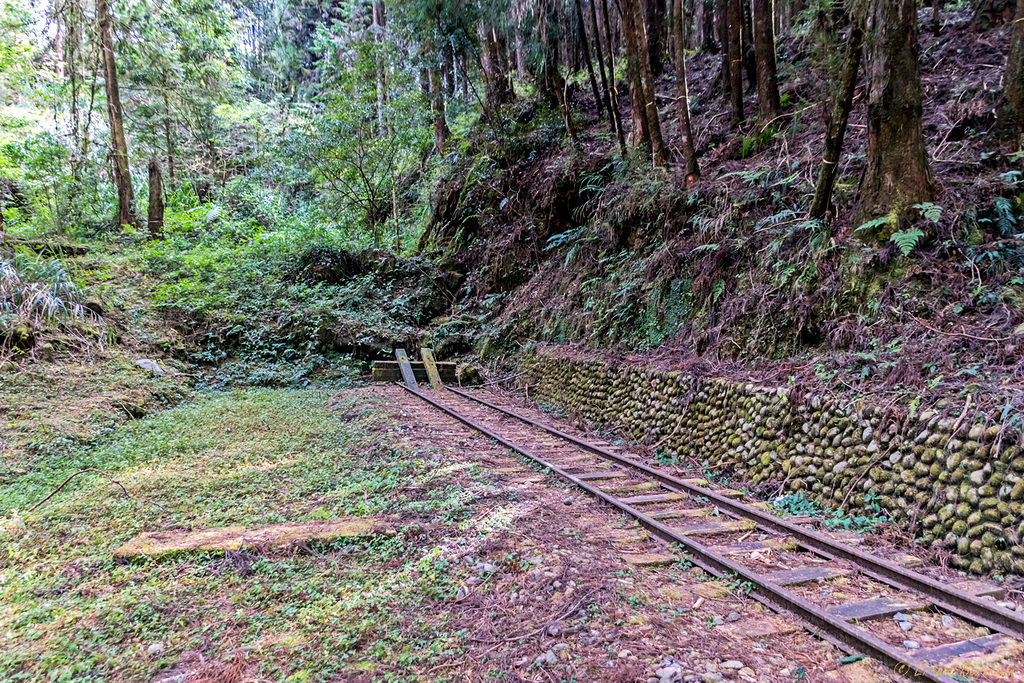 The end of the line