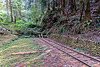 The end of the line