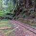 The end of the line