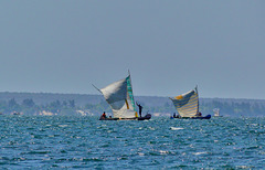 P1240068- Balade pirogue Vezo - Lagon d'Ifati. 12 novembre 2019