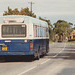 Cambus Limited 300 (PEX 611W) near Eriswell - 4 Sep 1993 (203-3)