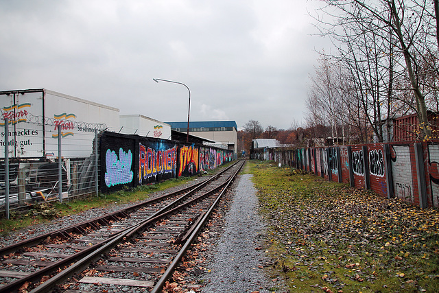 Gleise der Hafenbahn (Hafen Dortmund) / 3.12.2022