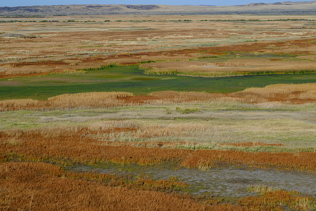 Buena Visa Wetlands