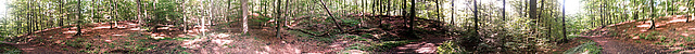 20141011 008HPw [D~SHG] Wald, Wesergebirge, Rinteln