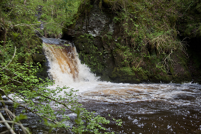 Lower Falls