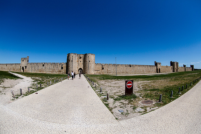 20150517 7853VRFw [F] Aiges Mortes, Camargue