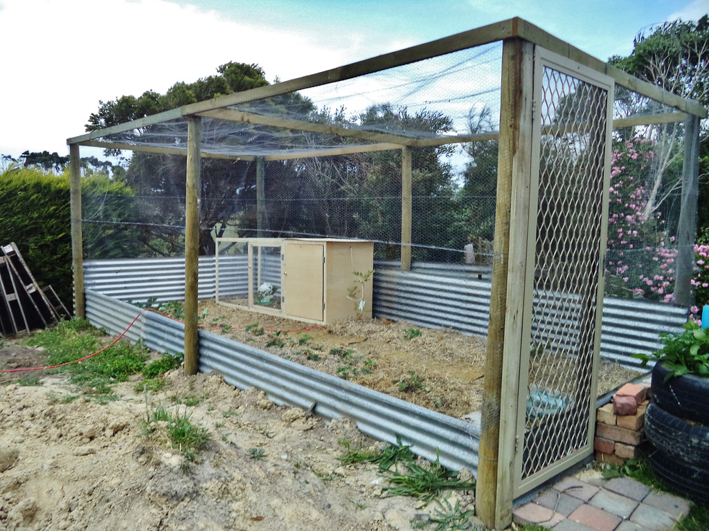 guinea fowl nursery