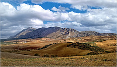 Paysaje malagueña