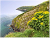 Great seascape: Kinsale's cliffs