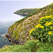 Kinsale's cliffs - a great seascape