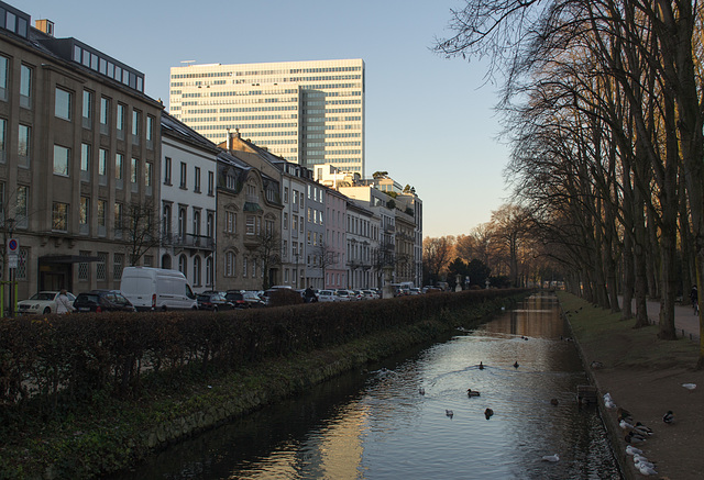 Dusseldorf (#0363)