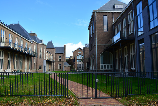 New garden of the former Pathology Lab