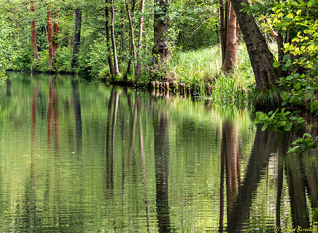 Gestalten am Ufer