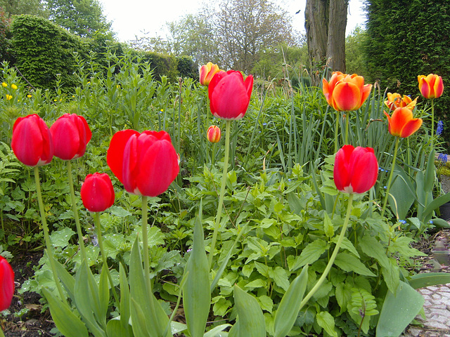 Enfin les beaux jours !