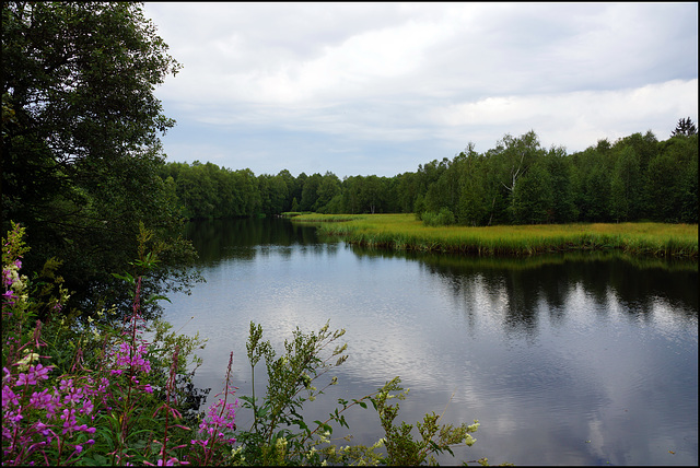 Rotes Moor