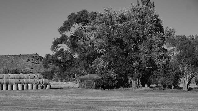 Diamond Valley Ranch