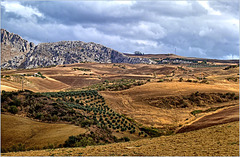 Paysaje malagueña