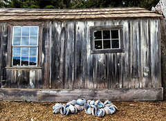 The Whalers Cabin