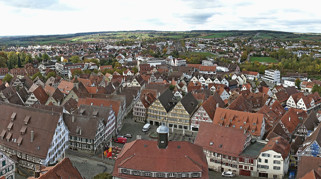 Herrenberg (vom Stiftskirchturm) (S/W)