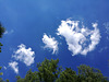 02.06.2019 - Wolkengebilde im ständigen Wechsel
