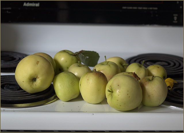 An armful of apples