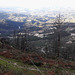 Landscape viewed from Farinha Mount.