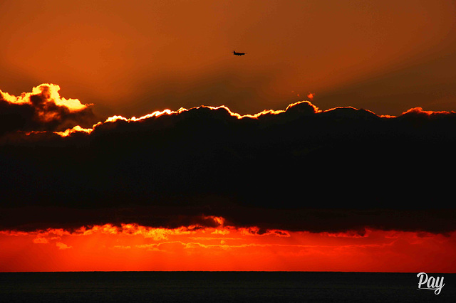 Vuelo bajo