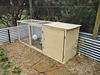 guinea fowl nursery