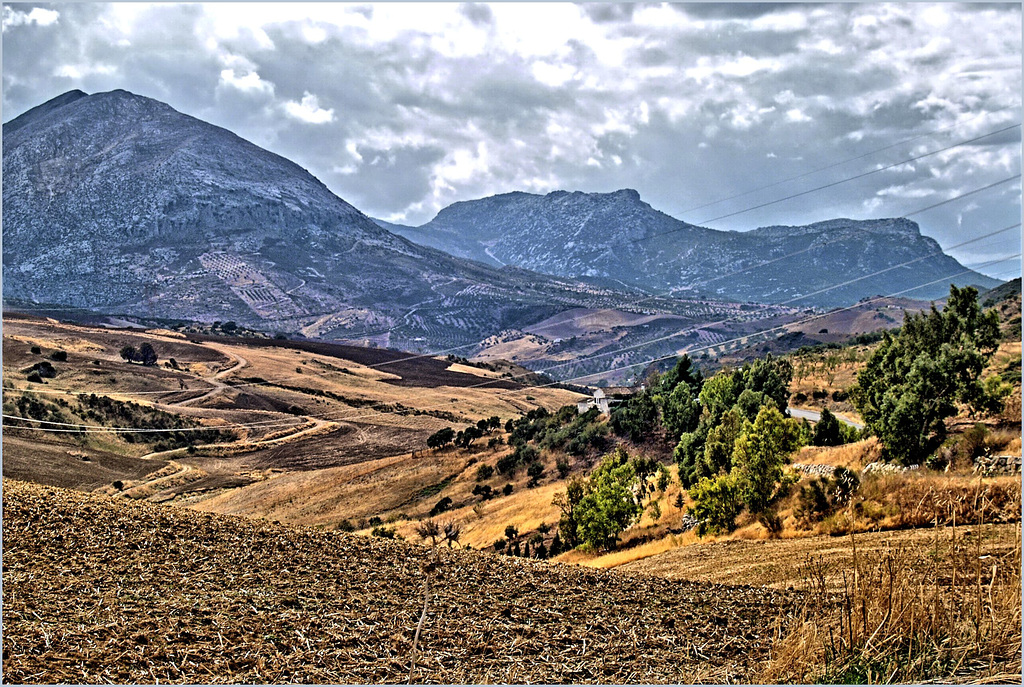 Paysaje malagueña