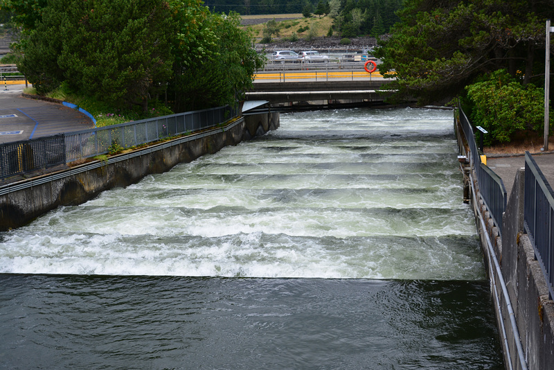 USA 2016 – Bonneville Dam – Staircase