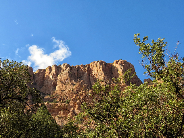 Chiricahua Mountains