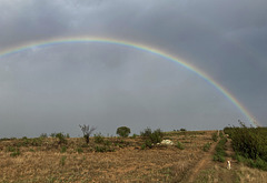 #04- Estrelinha under the rainbow