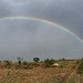 #04- Estrelinha under the rainbow