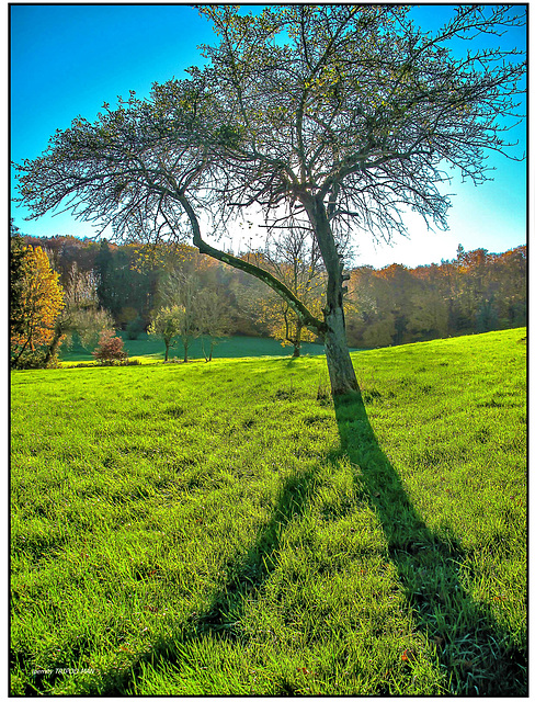 Markgräflerland Herbst 22