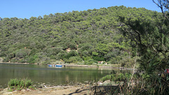 Île de Port-Cros