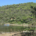 Île de Port-Cros