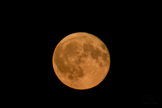 IMG 9573 DxO 2