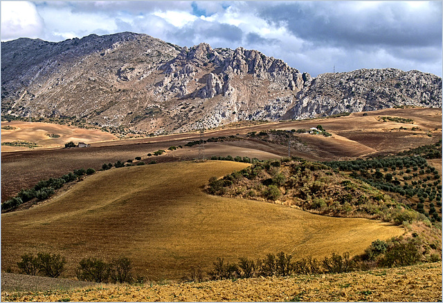 Paysaje malagueña