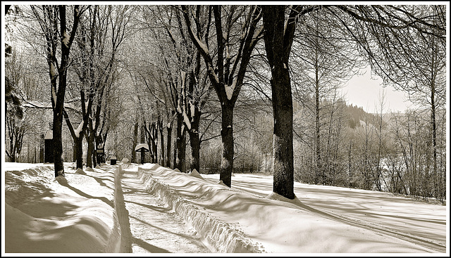 Walking Trail along the river.