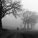foggy runners