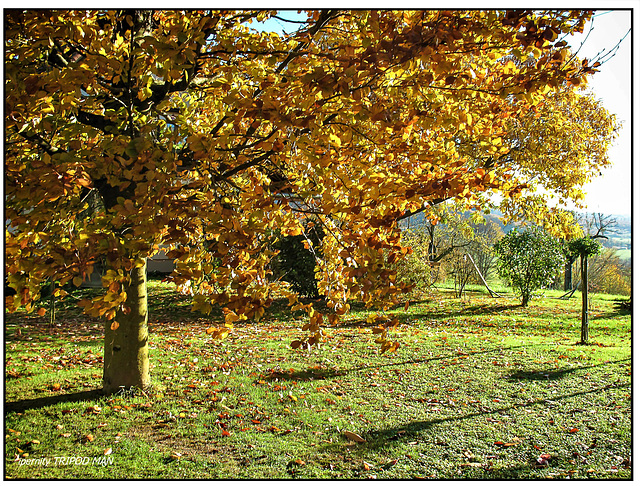 Markgräflerland Herbst 22