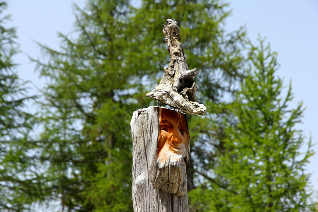 Begrenzungspfosten entlang der Almstraße hoch von Pederü zur Fanes Hütte