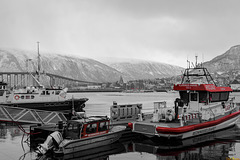 "50 Shades of Grey" im Hafen von Tromsø (PiP)  - HFF!