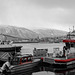 "50 Shades of Grey" im Hafen von Tromsø (PiP)  - HFF!