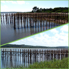 Barrosa Stilt Pier, Obidos Lagoon