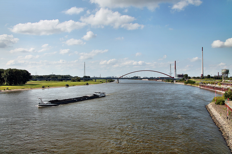 Blick auf den Rhein bei Hochfeld (Duisburg) / 17.08.2024