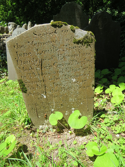 revelstoke church, devon