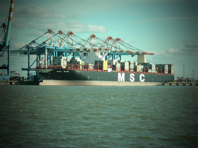 MSC MAYA am Containerterminal Bremerhaven