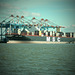 MSC MAYA am Containerterminal Bremerhaven