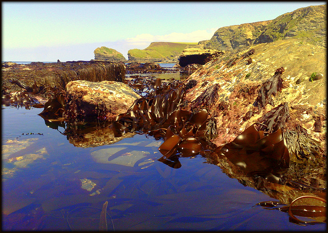 Greenbank Cove, Cornwall